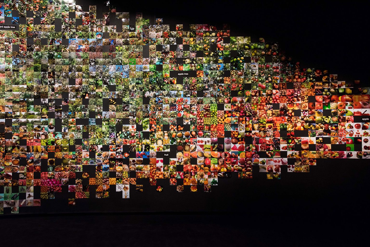 From ‘Apple’ to ‘Anomaly’